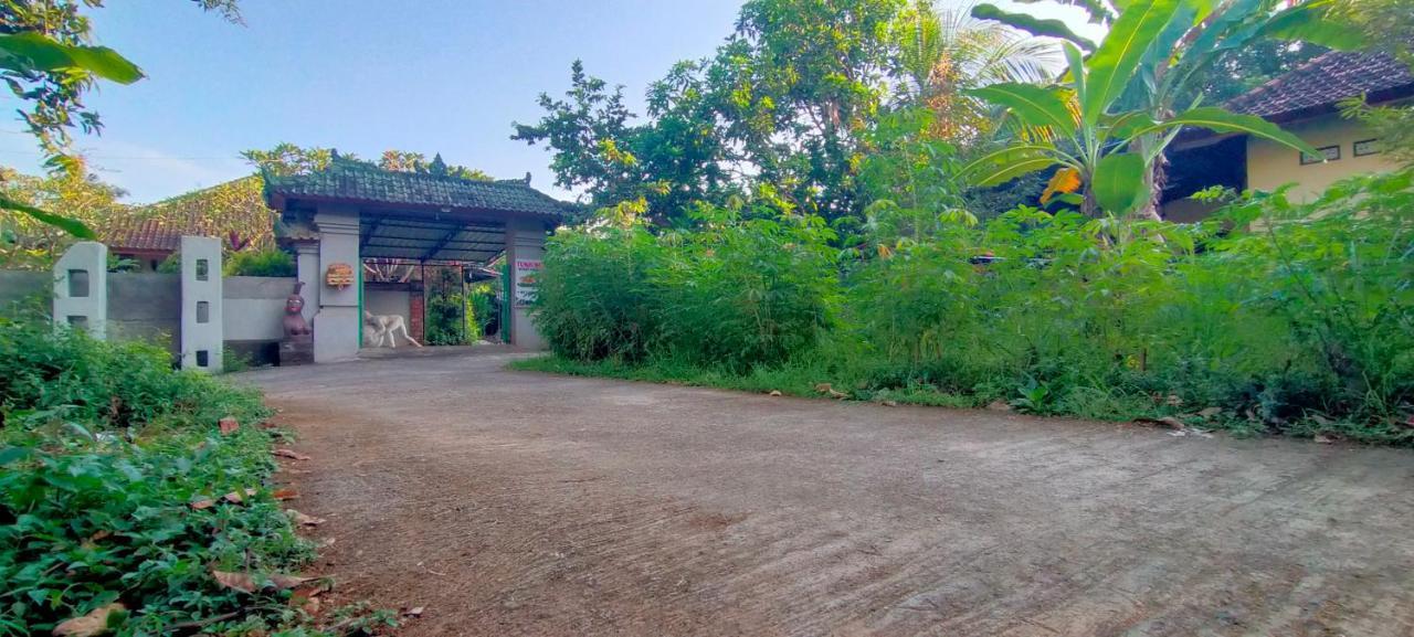 Tunjung Guest House Lovina Beach Pabean Buleleng Extérieur photo