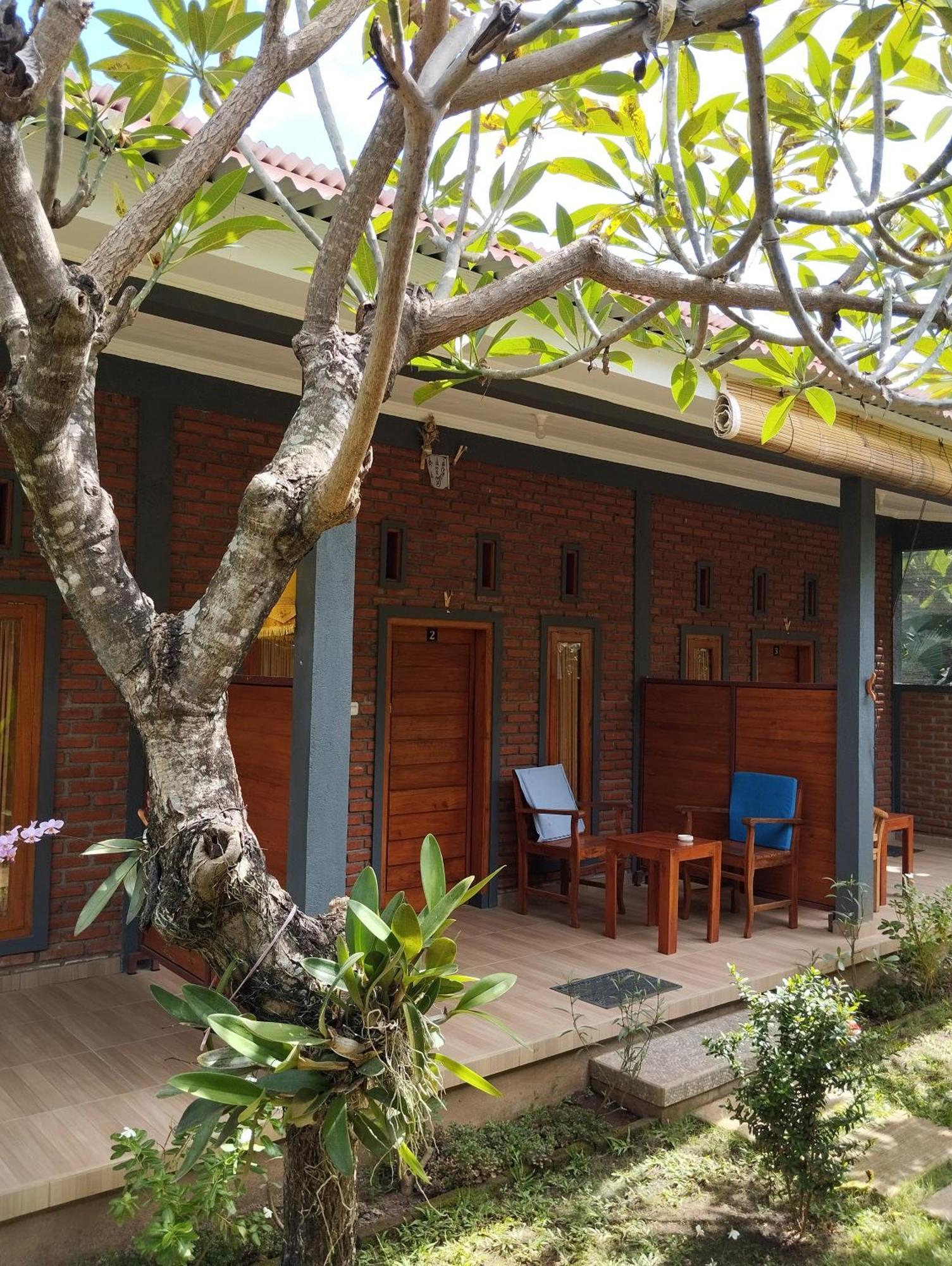 Tunjung Guest House Lovina Beach Pabean Buleleng Extérieur photo